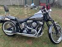 Harley Softail Springer