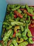Продам горький перец,крупный,