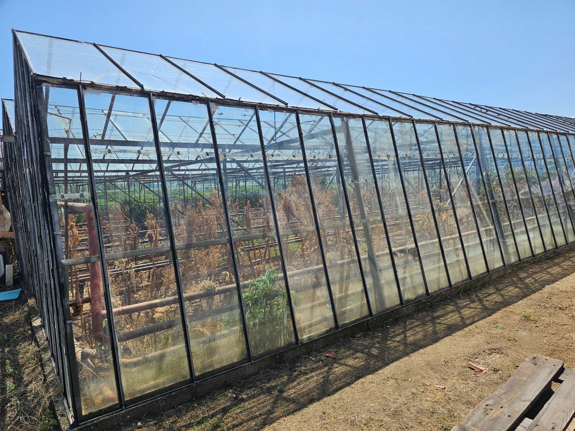 Продава се стъклена оранжерия