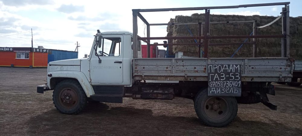 ГАЗ 2013 года,модель:3309