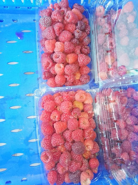Zmeură 35 lei kg