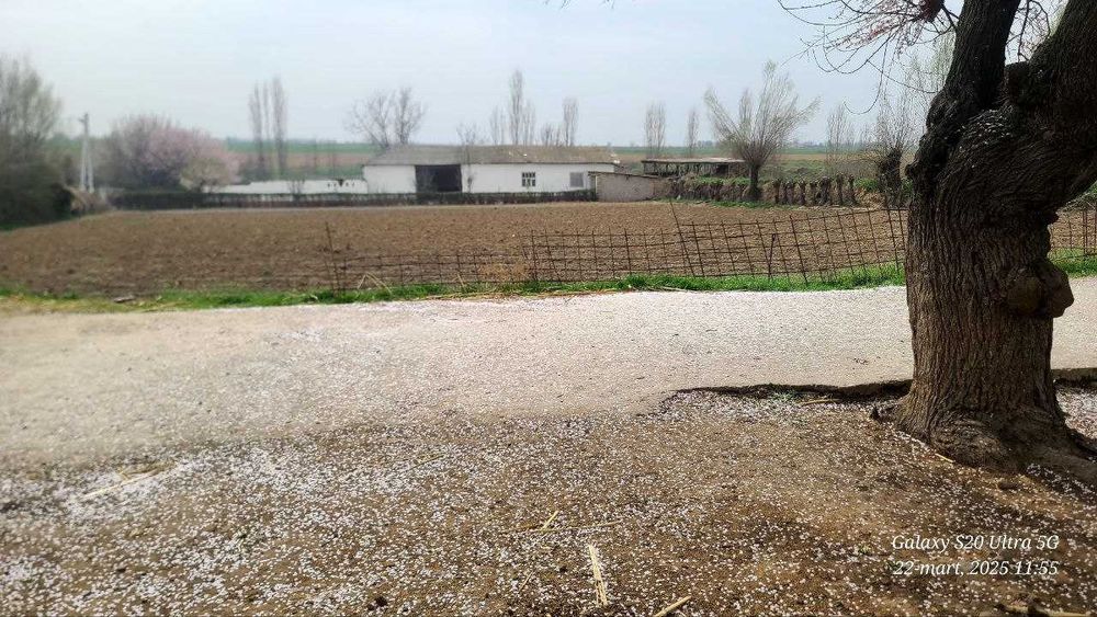 Uy sotiladi 45 sotix