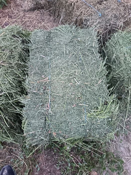 Vand baloti lucerna,fan, paie