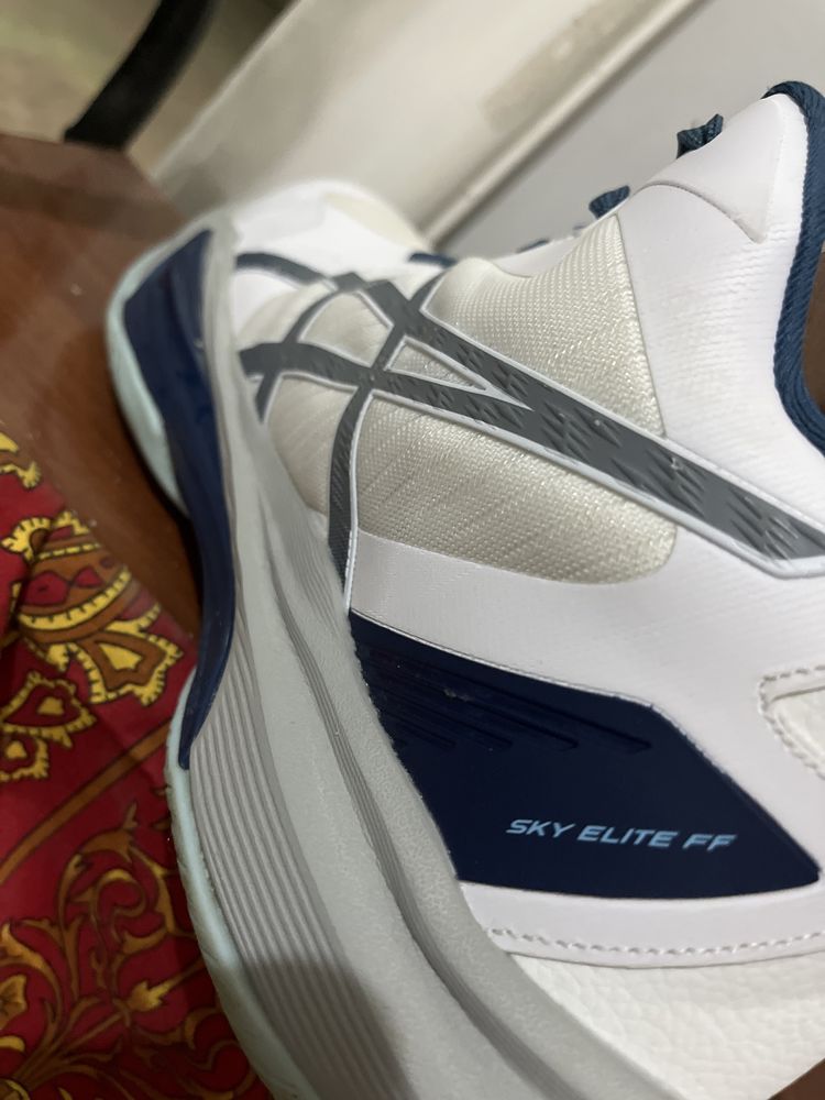 Asics sky elite ff3 (44-razmer)