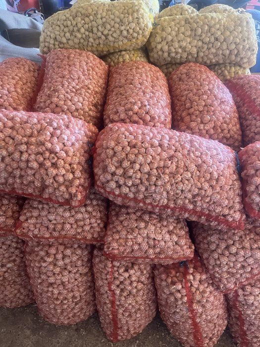 Se vinde usturoi de primăvară