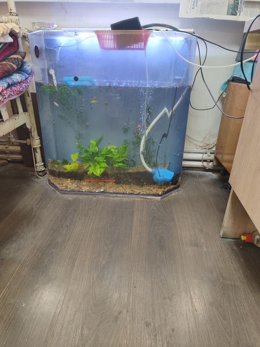 Акриловы аквариум