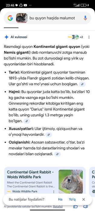 Flander samka sotiladi