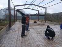 Vand structura metalică 10x8m