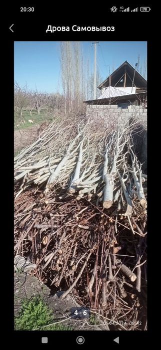 Утин дрова сотилади