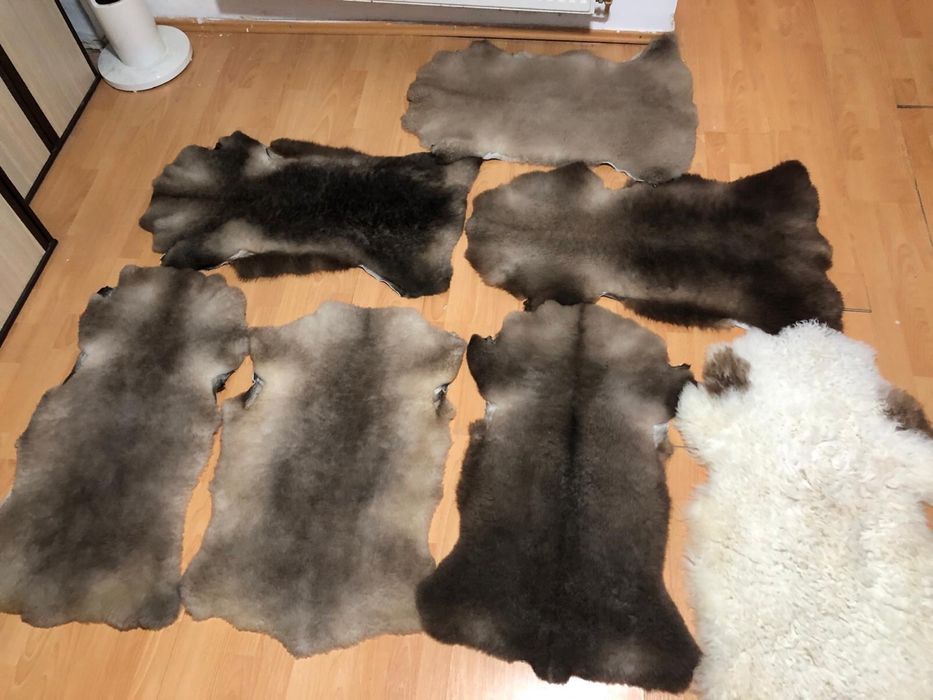 Blană de oaie/Piele de oaie naturală, decorativă, tip covoraș