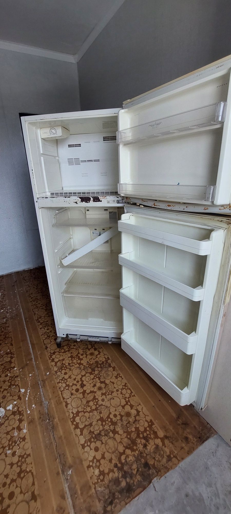 Dayvo haladekik sotiladi
