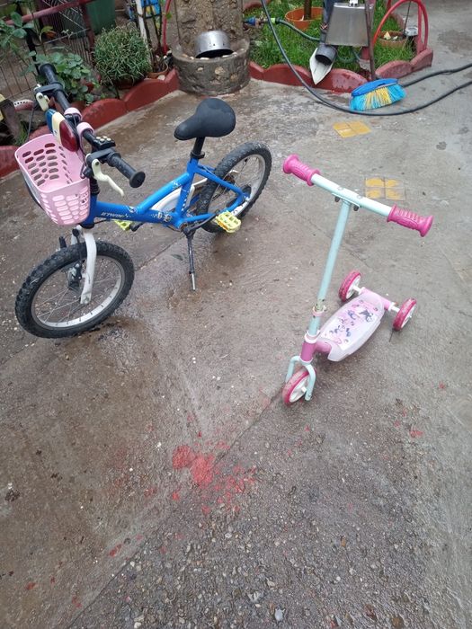 Bicicleta și trotineta