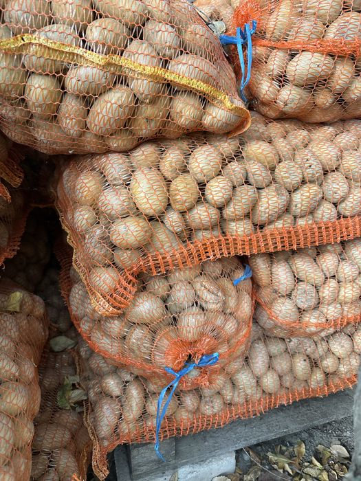 Cartofi pentru animale