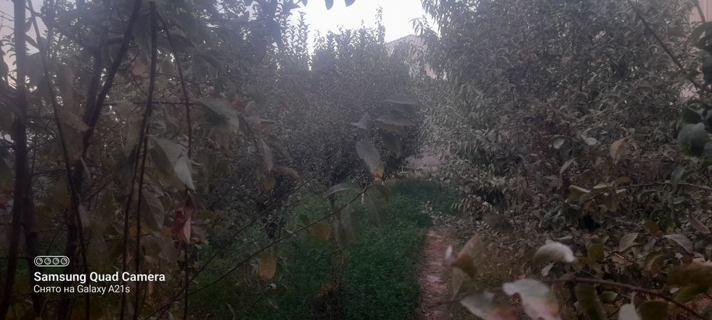 ховли ижарага берилади