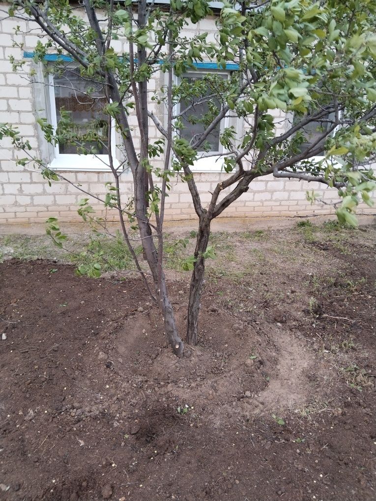 Продается дом в Круглоозерном