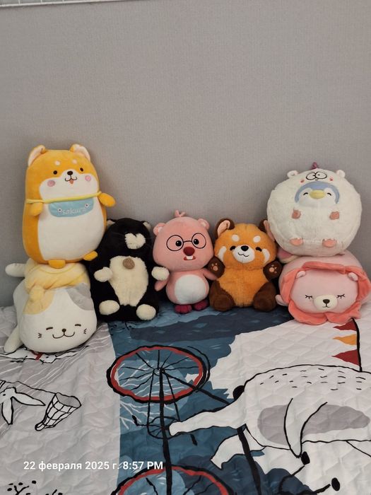 Мягкие игрушки miniso, marwin. Пикачу, bears, кот