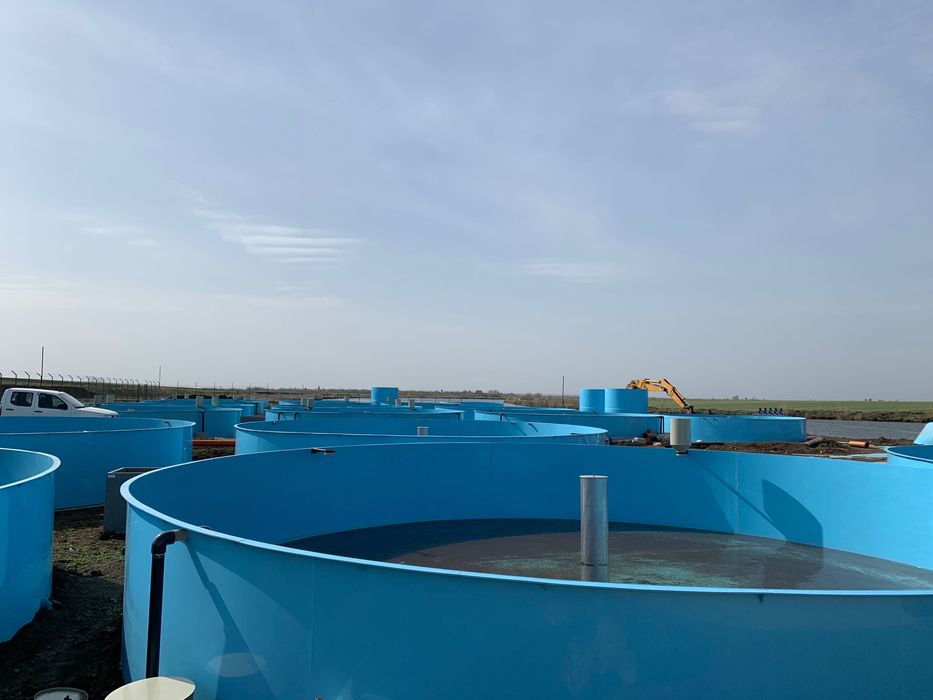 Bazine polipropilena peste