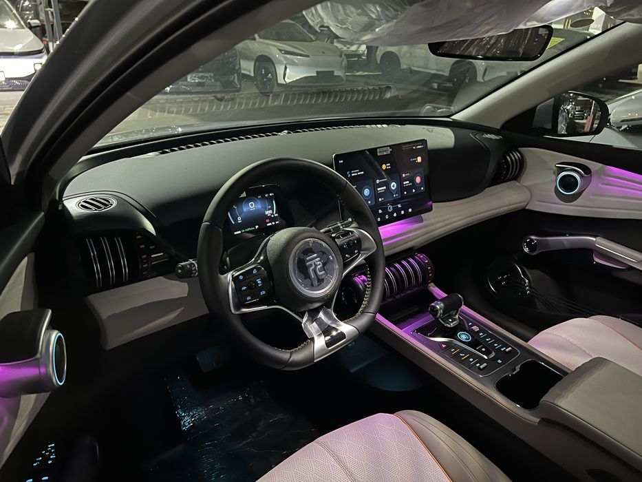 BYD Yuan plus bez probeg!