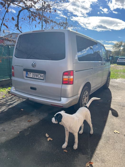 Volkswagen Transporter T5 8+1 locuri.