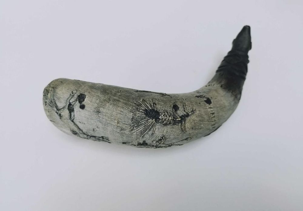 Vechi Corn viking de baut sau decor , Vanatoare