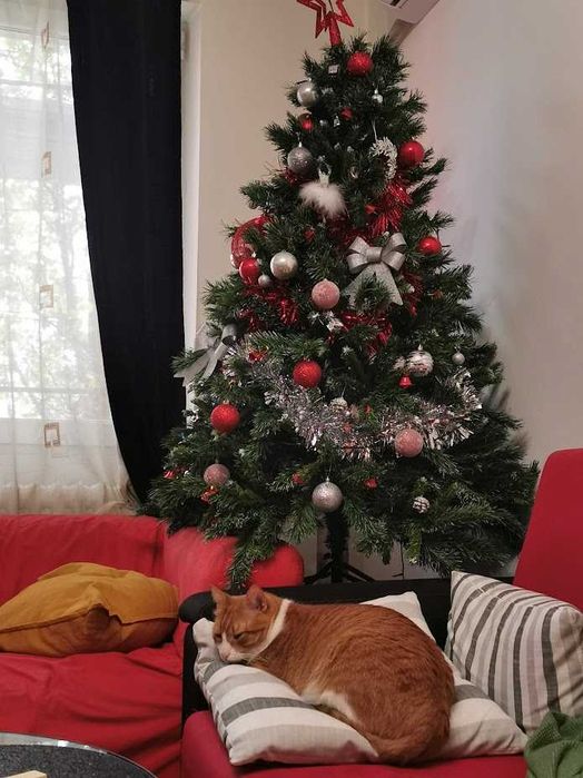 Brad artificial cu suport metalic