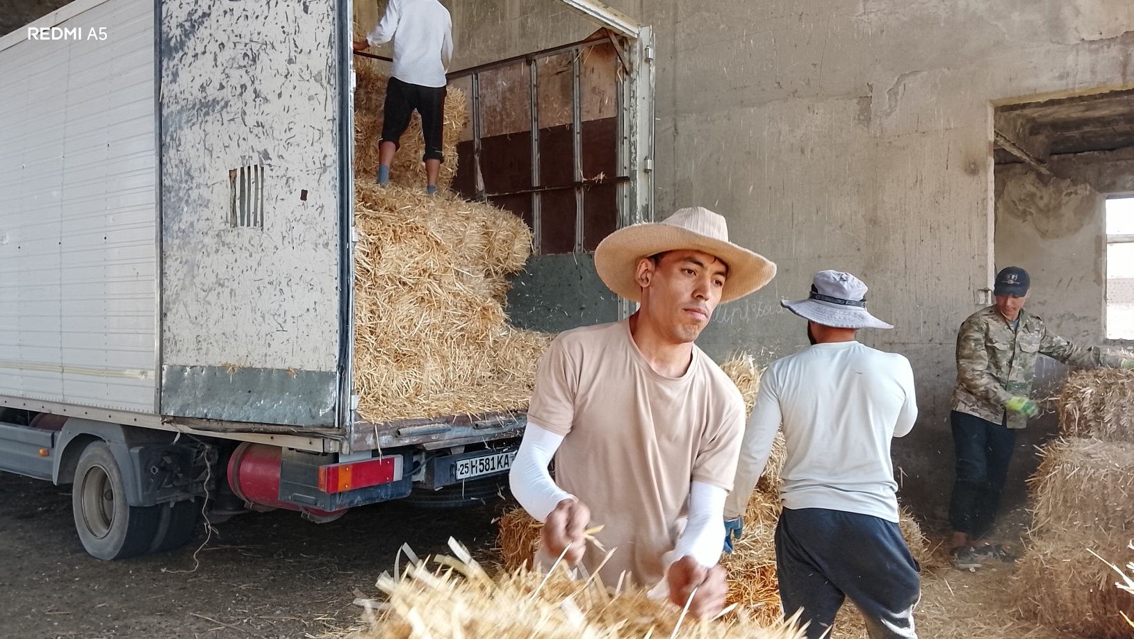 Mers ateko 818 furgon