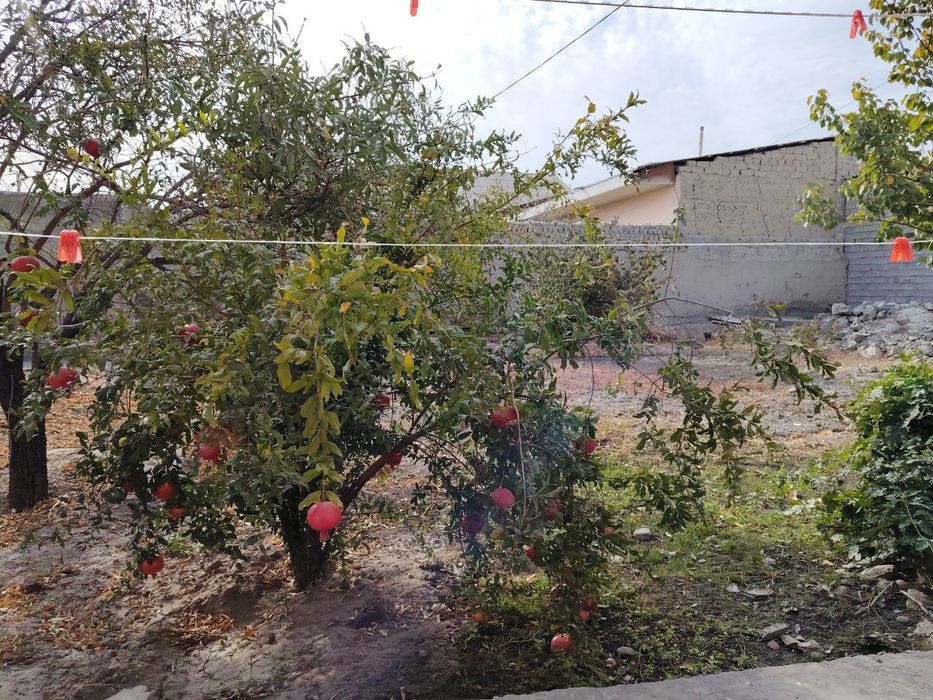 Hovli srochno sotiladi