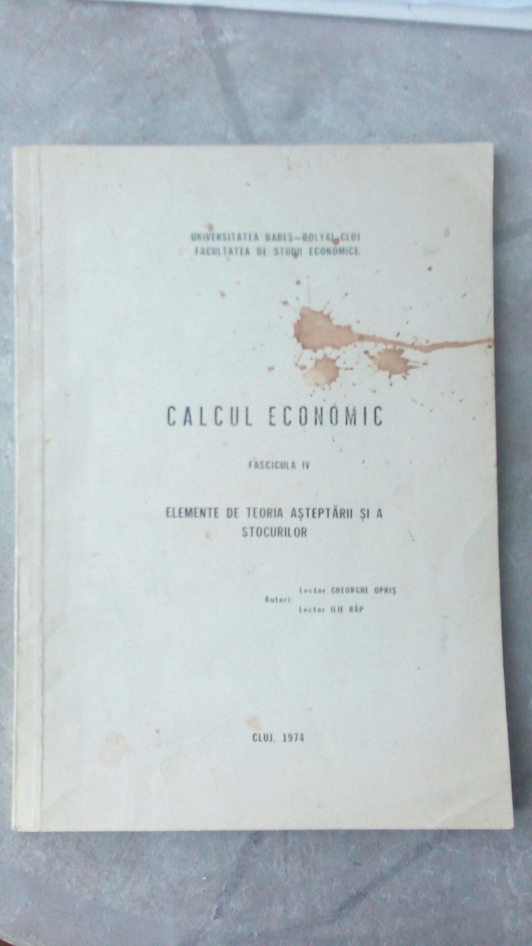 Calcul Economic Fascicula IV