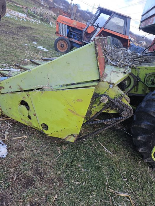 Vand masa de grau + masa de porumb