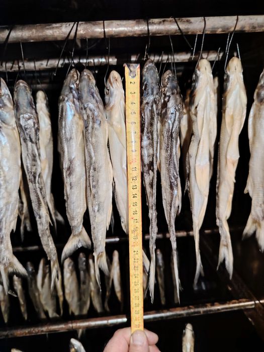 Жерих копчёный вяленый