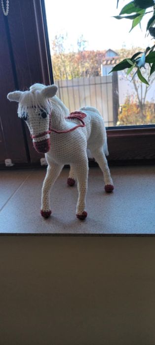 Pasionati de Echitatie