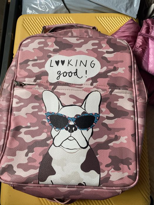 Ghiozdan atasabil troler