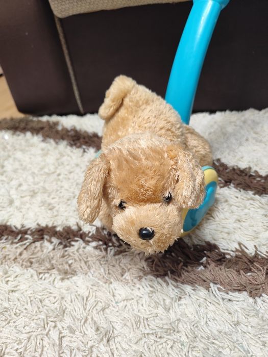 Собака - каталка