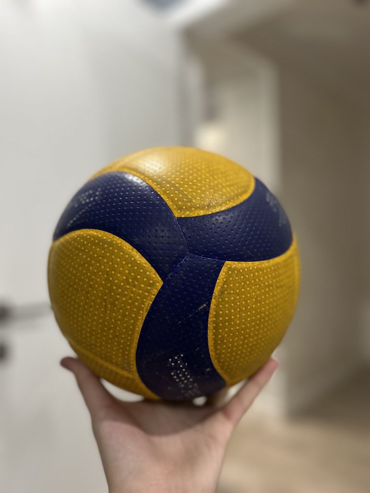 Мяч волейбольный