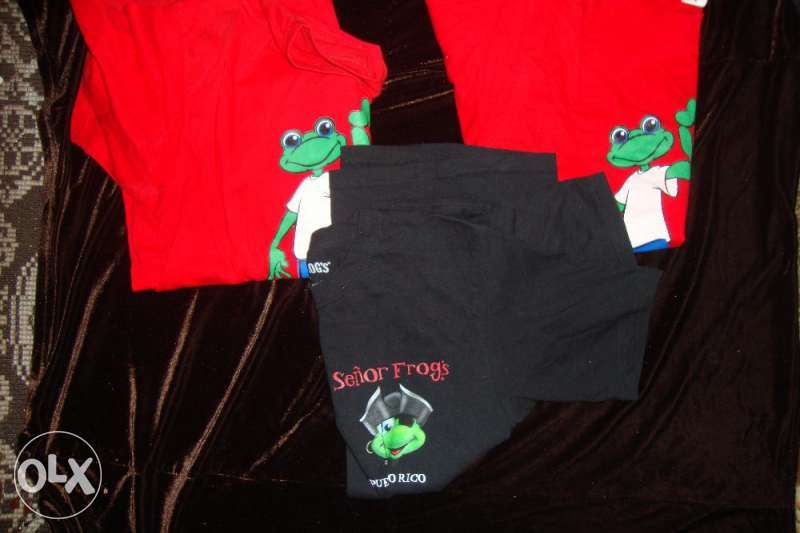 Три оригинлни t-shirt--на Бар -Senior Frogs: