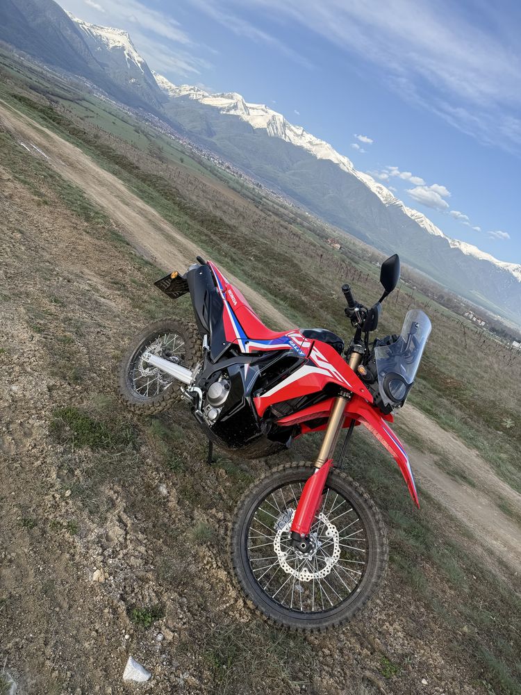 Honda crf 300 rally