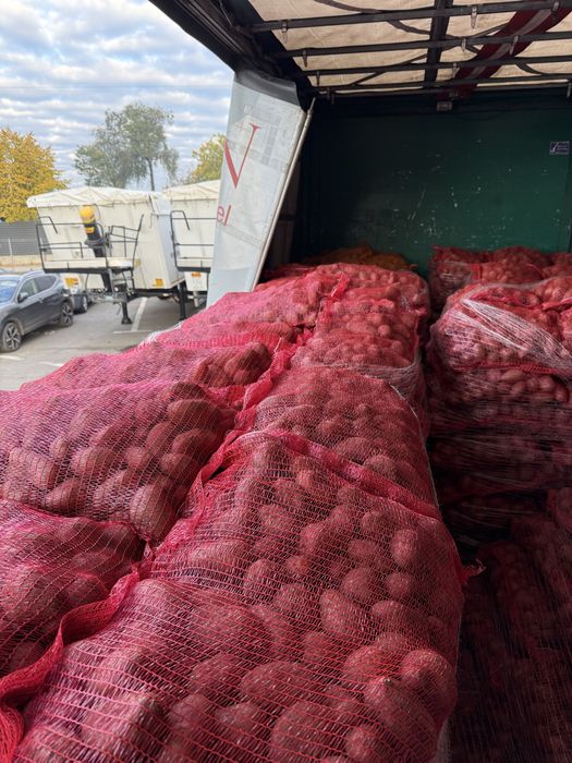 RED LADY 55+  sac stas 25 kg!