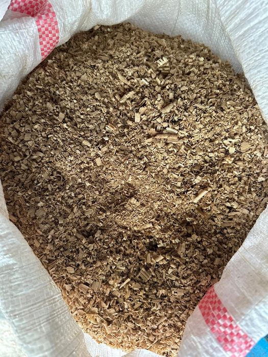 Rumegus de fag pentru afumat