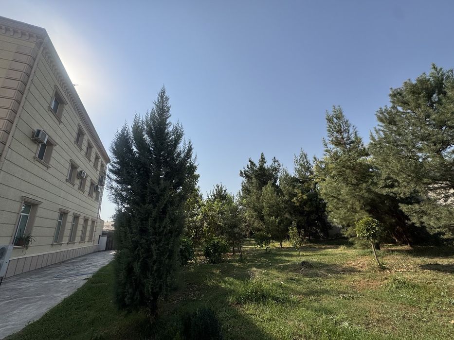 Mirzo ulugbe dormon uy sotilqdi