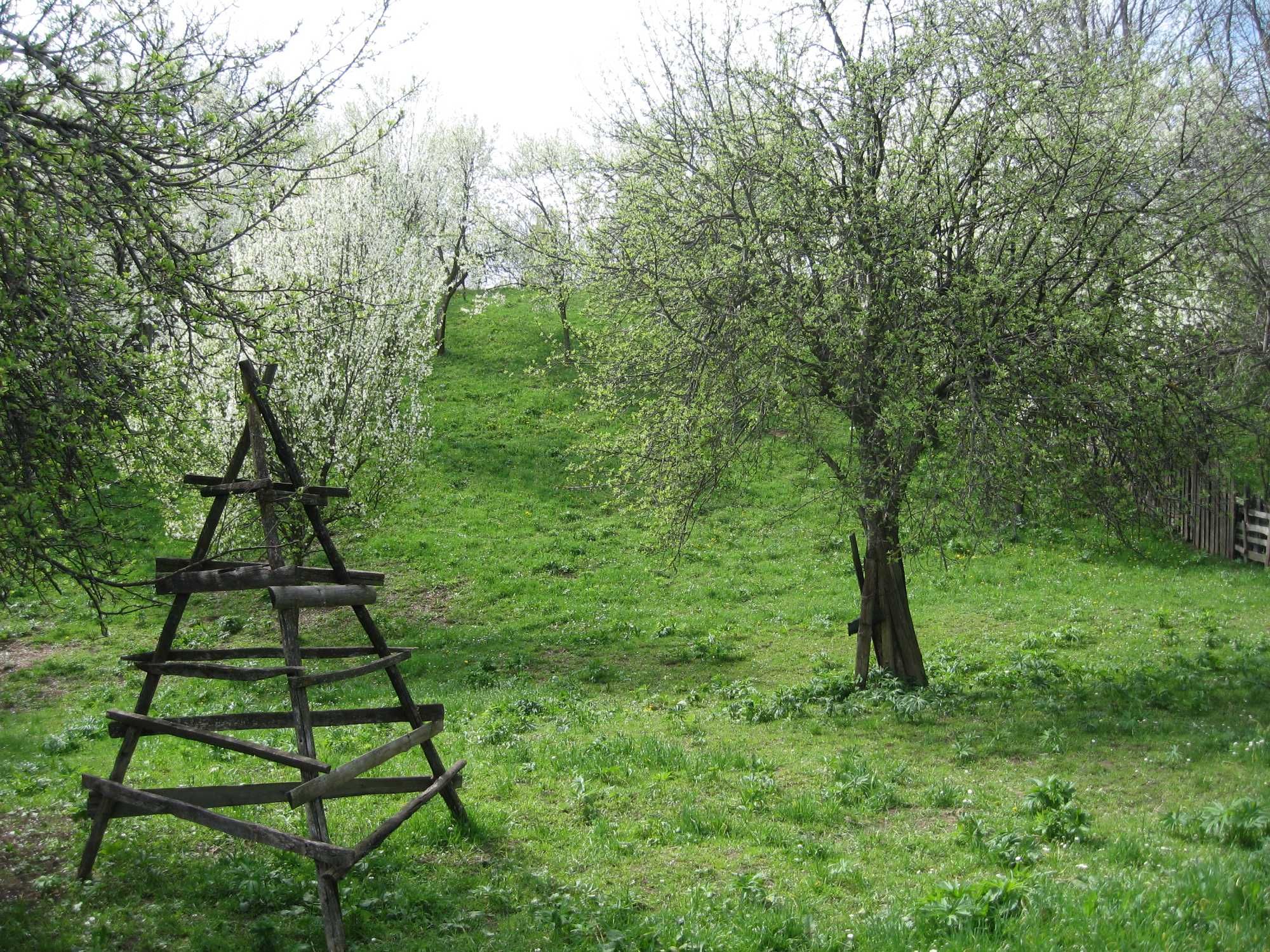 Teren Valea Doftanei - Trăisteni