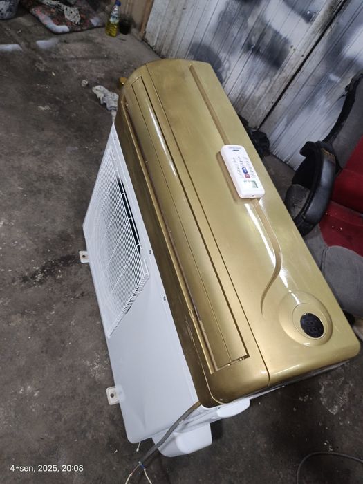 Chigo 12 talik kanditsaner