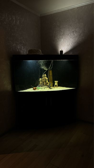 Продается аквариум 450 литров с обитателями!