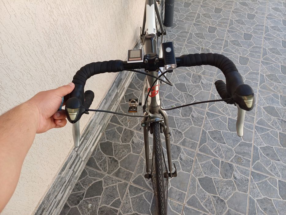 Bicicleta Cursiera