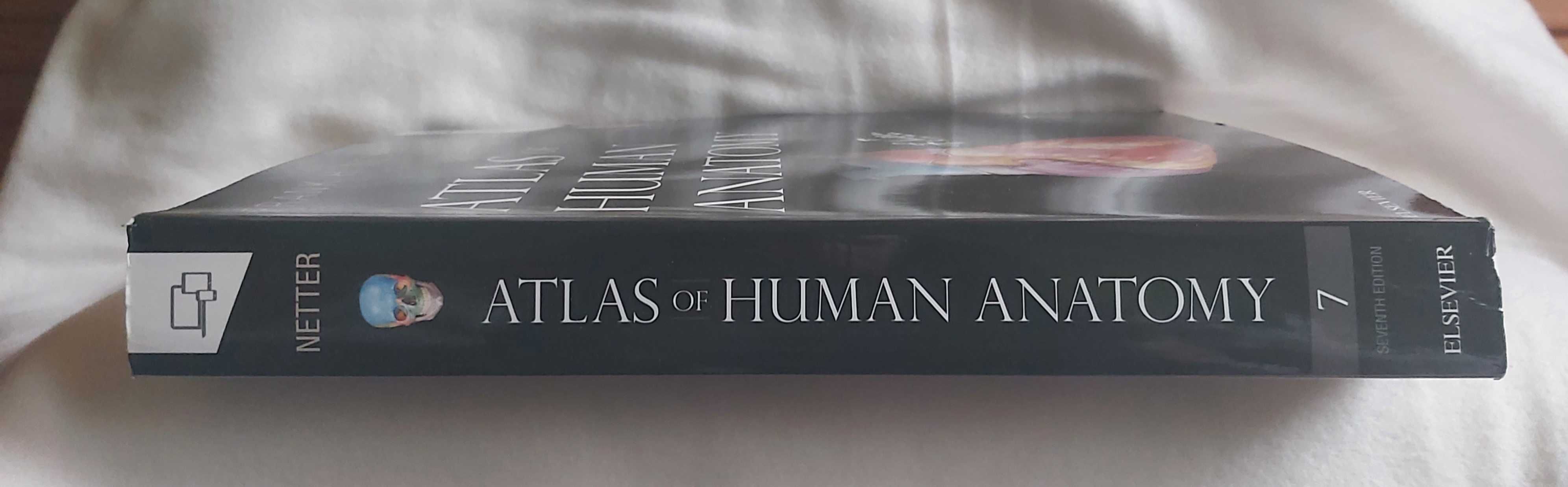 Frank Netter - „Atlas of human anatomy”