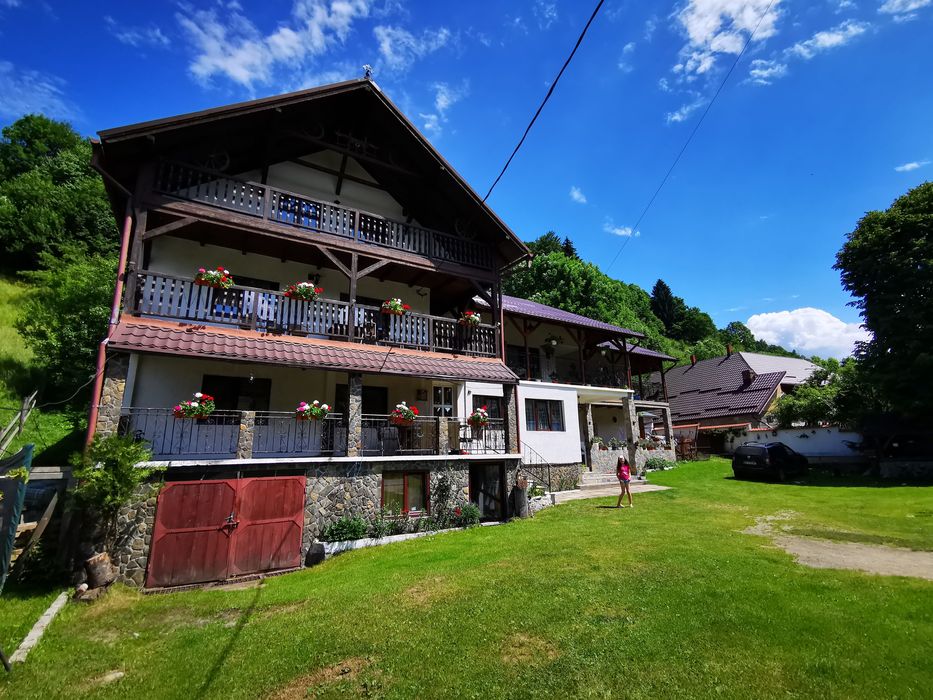 Pensiunea Casa Diana Bran-Șimon