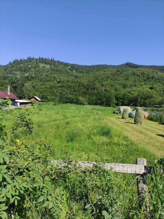 Teren de vanzare, intravilan, 1502 mp, Sat Straja Comuna Tarcau