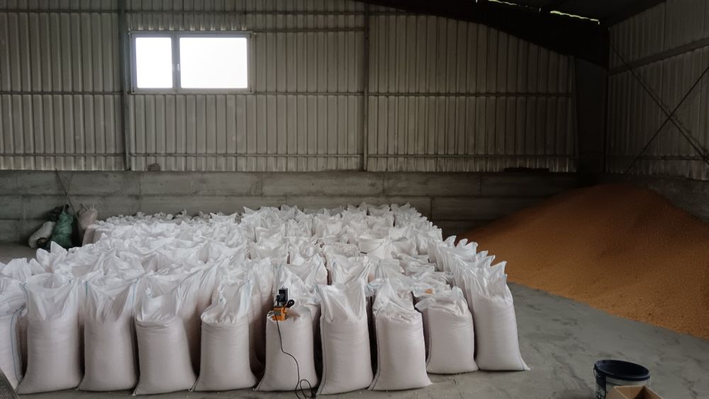 Vând cereale toate tipurile!