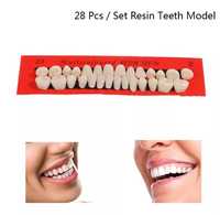 28 dinți de rasina