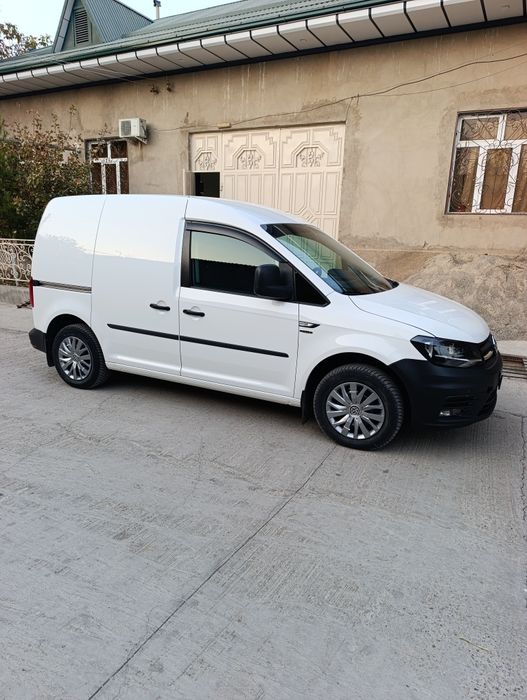 2020 йил холати ало краска тозза