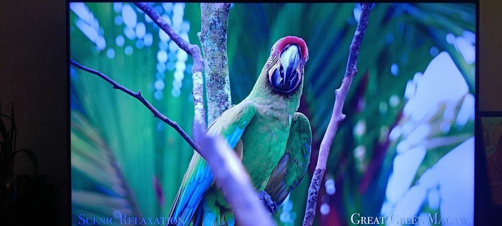 Телевизор 65 инча